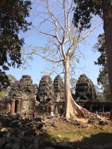 Ankor_wat-Tag_1-234